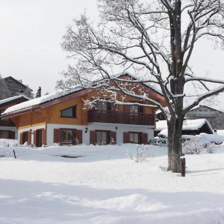 Chalet Griffon Nendaz Eksteriør billede